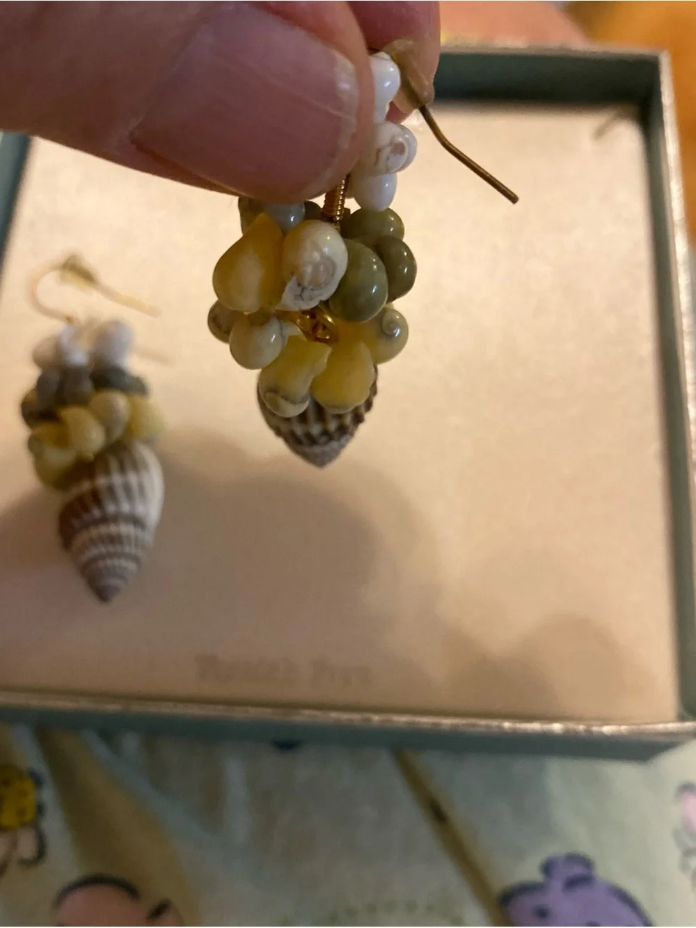 N/A delicate shell